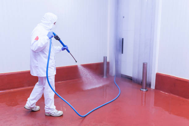 Best Building Exterior Washing  in New Sarpy, LA